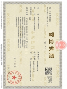 執照副本
